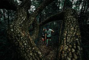 BIB: 
                            <button type="button" onclick="openModal(25690949)" class="btn btn-primary btn-sm float-right btn-popup" data-toggle="modal" data-target=".modal-high-quality">
                        <i class="fas fa-shopping-cart"></i> Add to Cart
                    </button>
                                            <button type="button" onclick="isThisMe(25690949, true)" class="btn btn-success btn-sm float-right btn-popup btn-isme hidden" data-toggle="tooltip" data-placement="bottom" title="นี่คือรูปของคุณใช่ไหม คลิกที่นี่เพื่อเอาเข้าอัลบั้ม">
                        <i class="fas fa-plus"></i> Add to album
                    </button>
                    <button type="button" onclick="isThisMe(25690949, false)" class="btn btn-warning btn-sm float-right btn-popup btn-isnotme hidden">
                        <i class="fas fa-ban"></i> Remove from album
                    </button>